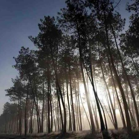 הוילה Rion-Des-Landes Chez Floflo מראה חיצוני תמונה