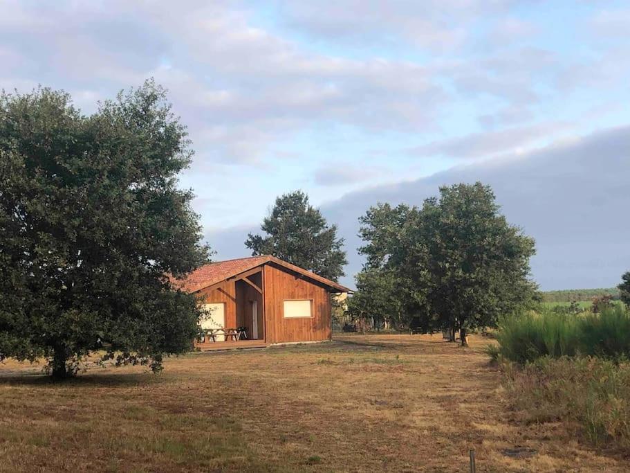 הוילה Rion-Des-Landes Chez Floflo מראה חיצוני תמונה