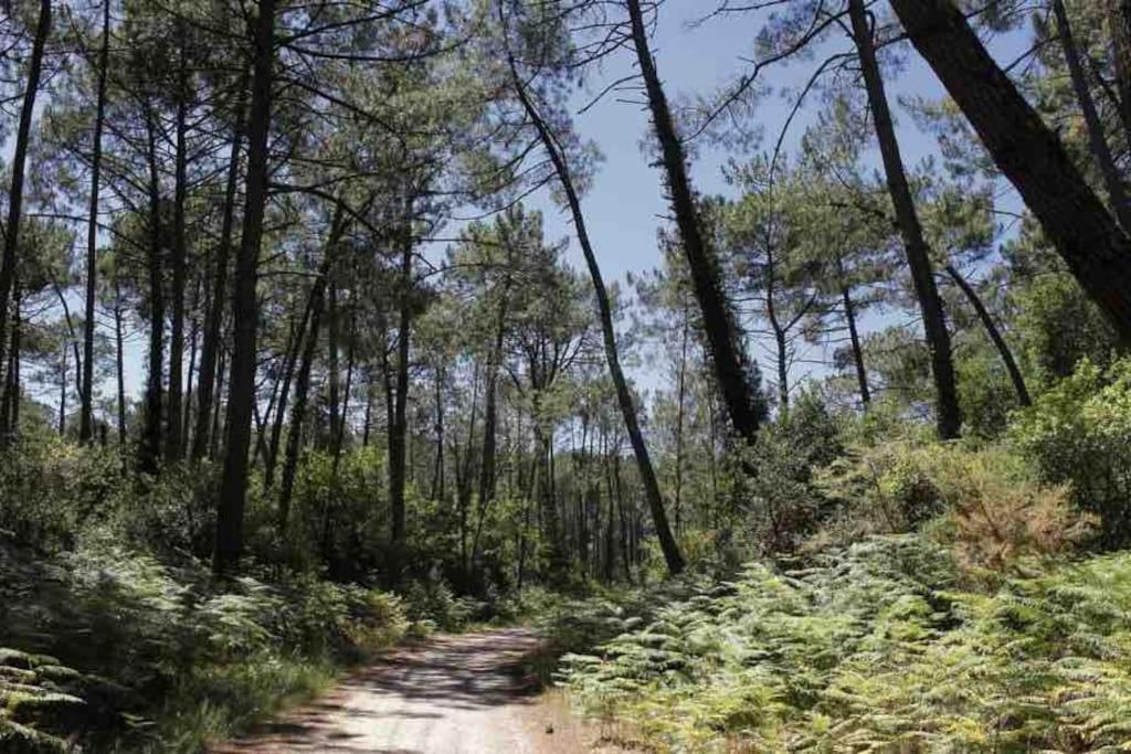 הוילה Rion-Des-Landes Chez Floflo מראה חיצוני תמונה